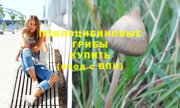 спиды Липки