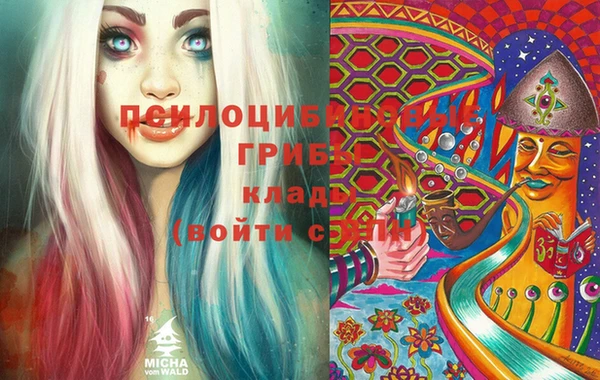 ECSTASY Лиски