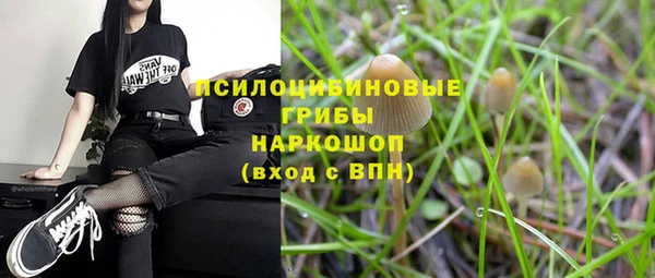 спиды Липки
