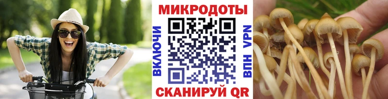 Псилоцибиновые грибы Cubensis Касимов
