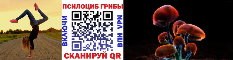 Псилоцибиновые грибы прущие грибы  Купить закладки  Касимов 