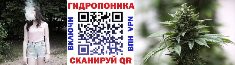Бошки марихуана сатива  Купить где  Касимов 